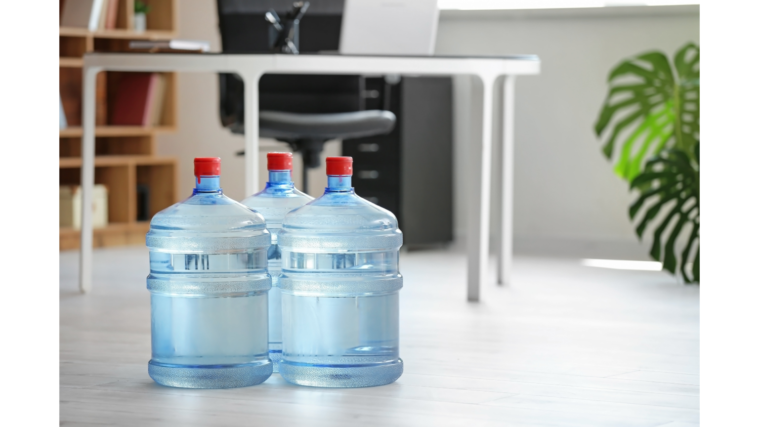 Top 15 Bottled Water Delivery Companies